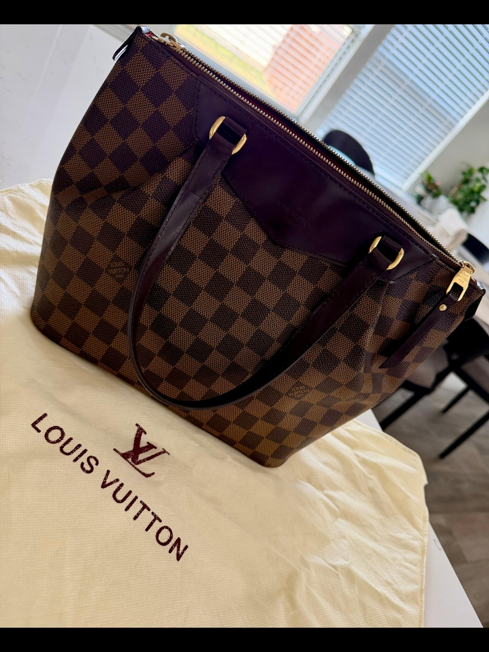 Louis Vuitton Brown Damier Ebene Canvas Tote Bag